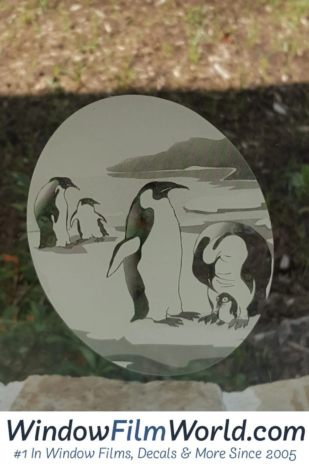 4" x 6" Oval Penguin Etched Glass Decal | (Static Cling)