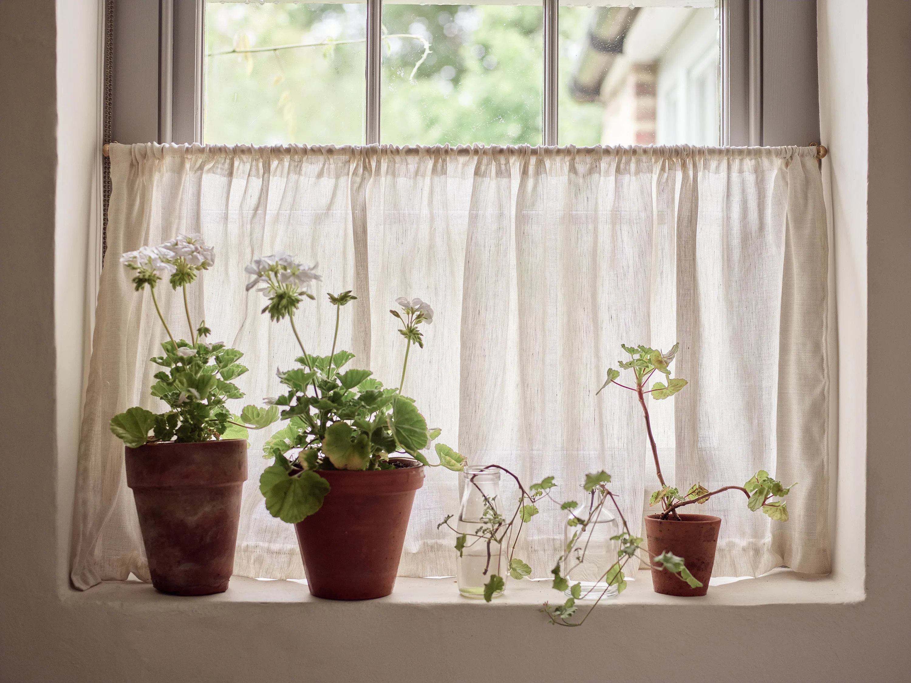 Blind Sheer Linen and Wool Natural