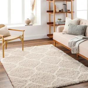 Blockton 5x7 Shag Beige Area Rug Carpet for Living Room Bedroom or Kitchen (5'3" x 7'3")