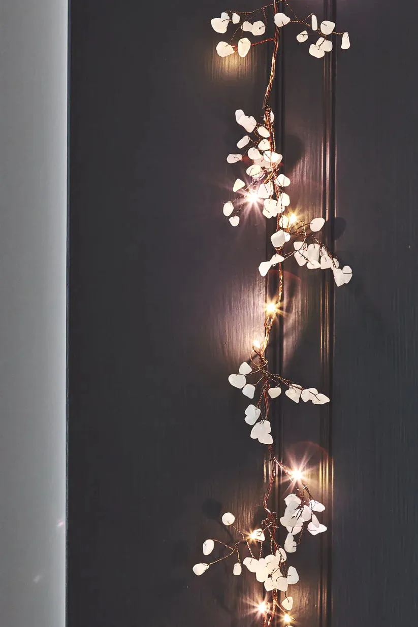 Gemstone White Fairy Lights (Battery Operated)