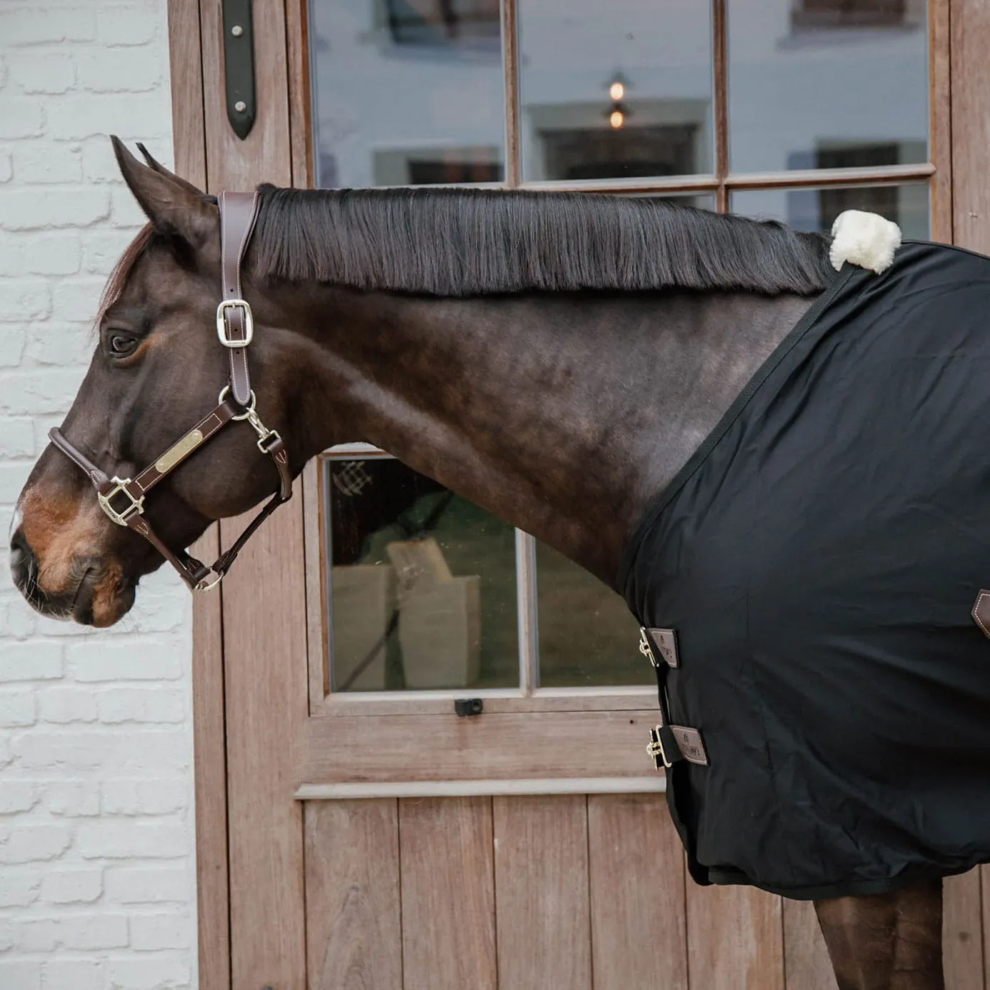 Kentucky Horsewear Cotton Sheet - Black