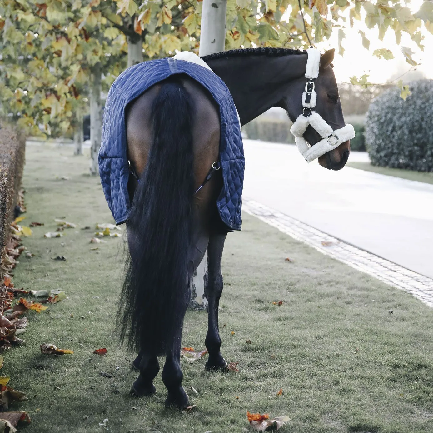 Kentucky Horsewear Stable Rug 200g - Navy