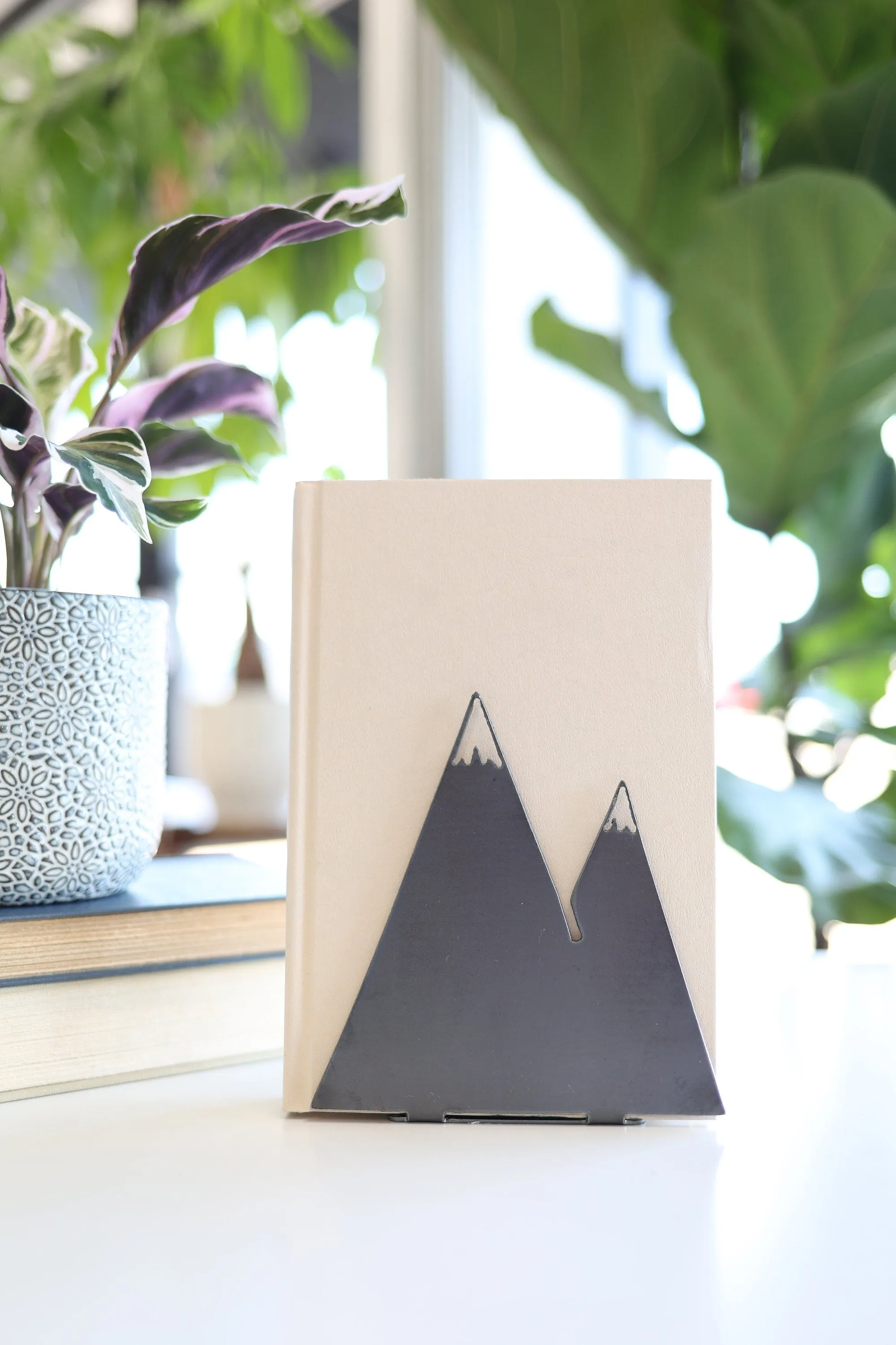 Mountain Bookend