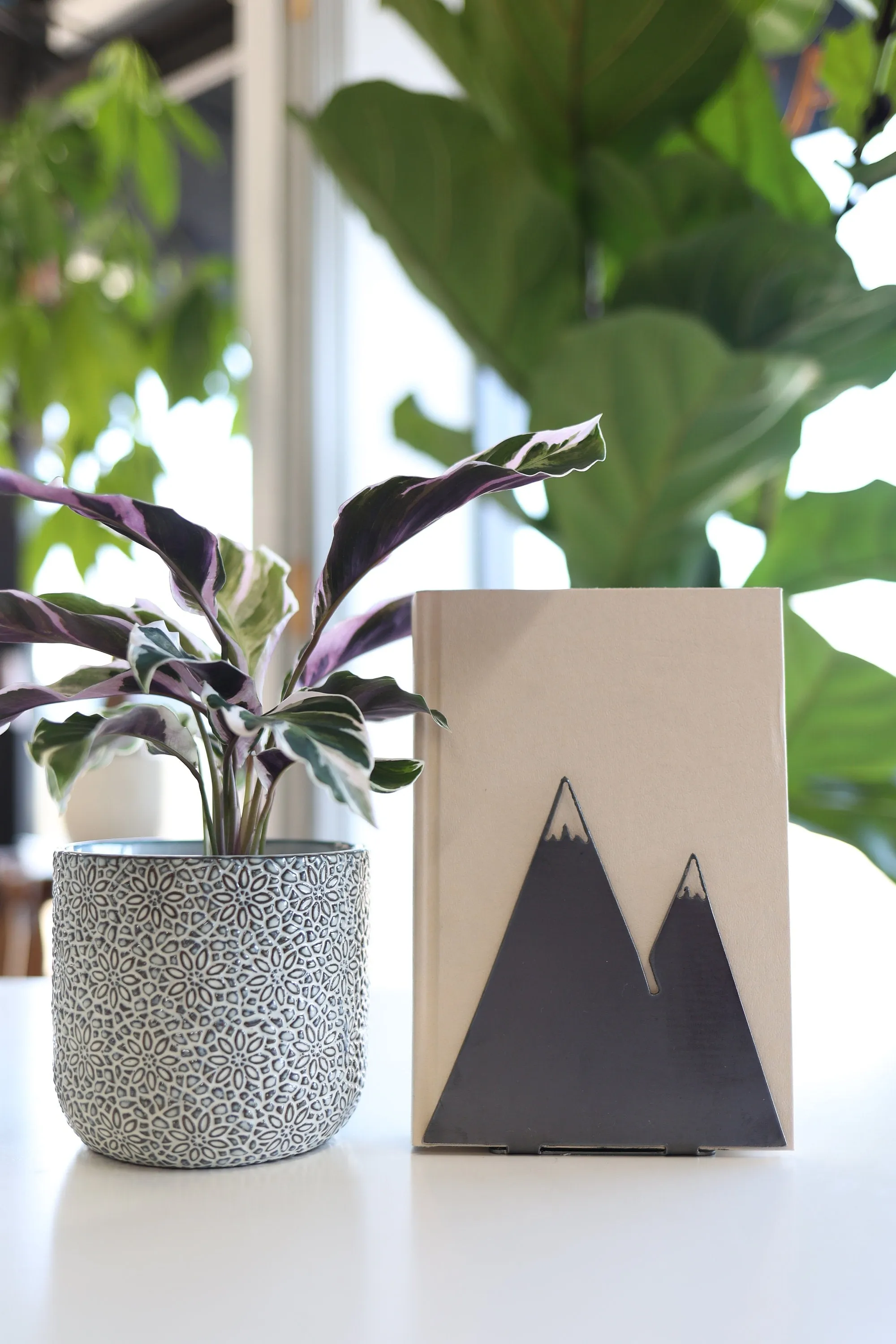 Mountain Bookend