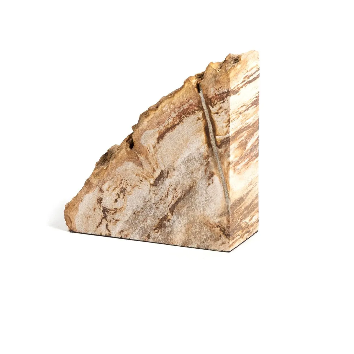 Petrified Wood Book Ends