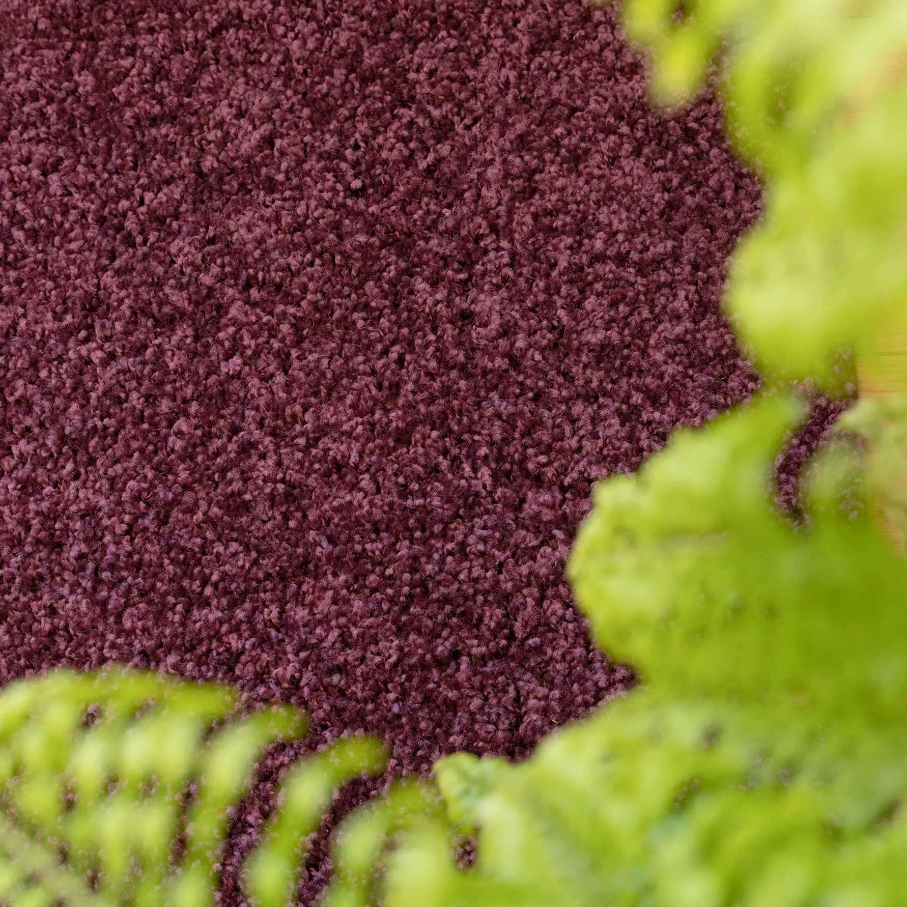 Plum Shaggy Runner Rug