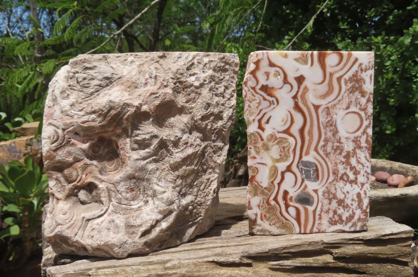 Polished Chocolate Swirl Aragonite Bookends x 2 From Namibia